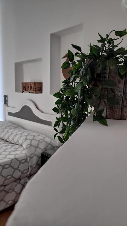 Apto. con piscina El Flamboyán 1 Teseguite Exterior foto